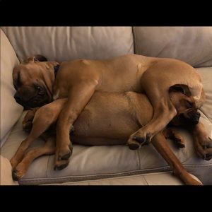 Meet your Posher, Hannah